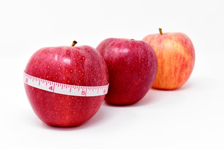 How to Address the Rising Rates of Obesity and Related Diseases